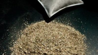 انزيمات المعدة الأولى (الكرشة) في البقرة لوقود حيوي أفضل