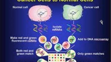 إعادة برمجة الأورام إلى خلايا صحية