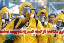 طرق مكافحة الزاعجة المصرية Aedes aegypti