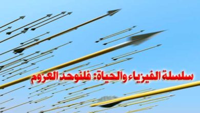 سلسلة الفيزياء والحياة: فلنوحد العزوم