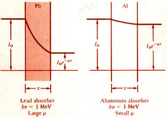 امتصاص الفوتونات The Photon Absorption