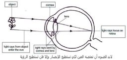 الاختفاء…..من روايات الخيال العلمي إلى أرض الواقع