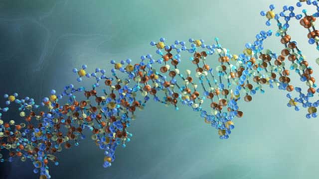 سلسلة أعظم 100 اكتشاف علمي في التاريخ .. الخارطة الجينية للإنسان (الجينوم البشري)