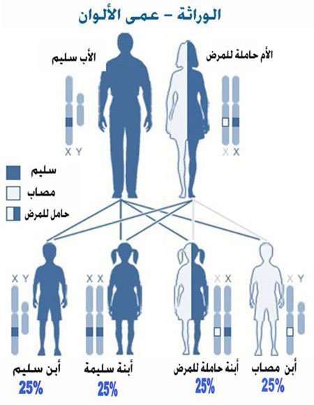 هل لديك عمى الألوان وأنت لا تدري؟