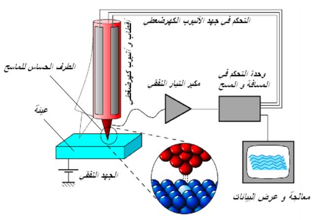 دروس من الطبيعة في النانوتكنولوجي