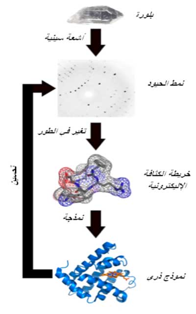دروس من الطبيعة في النانوتكنولوجي
