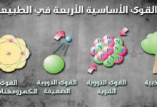 القوى الأربع