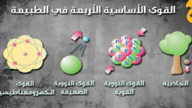 القوى الأربع
