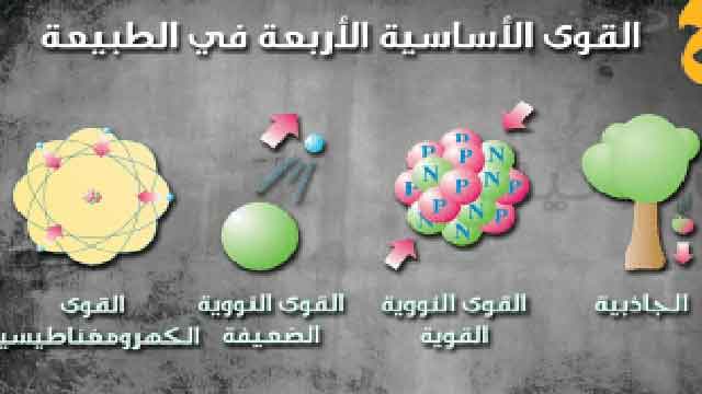 القوى الأربع