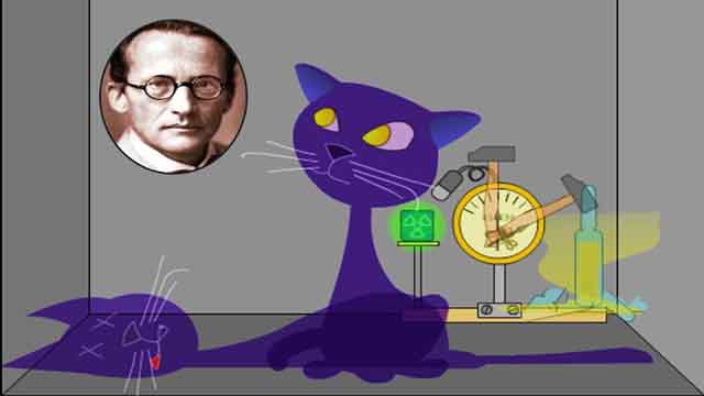 قطة شرودنجر