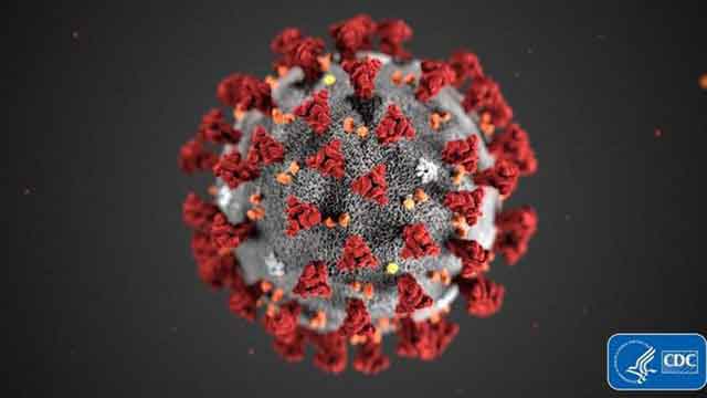 كيف يختار العلماء اسما لأي فيروس جديد؟