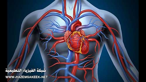 كيف تعمل قسطرة القلب Cardiac Catheterization