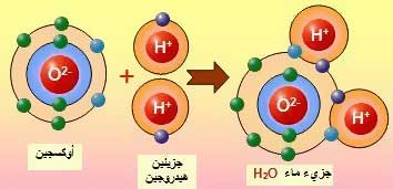 هل قطة شرودنجر حية أم ميتة؟