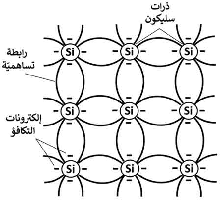 هل قطة شرودنجر حية أم ميتة؟