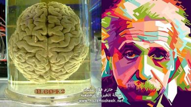 5 صفات أكسبت أينشتاين لقب العبقري