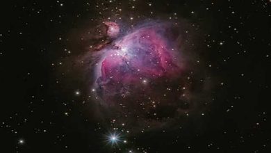 the fate of the universe