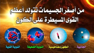الجسيمات