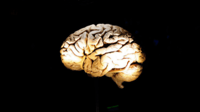 حقائق مذهلة لا تعرفها عن الدماغ