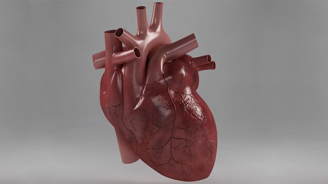 قلب اصطناعي باستخدام تكنولوجيات فضائية