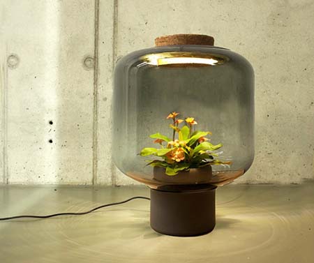 مصابيح تنمو بداخلها النباتات بلا ماء أو شمس!