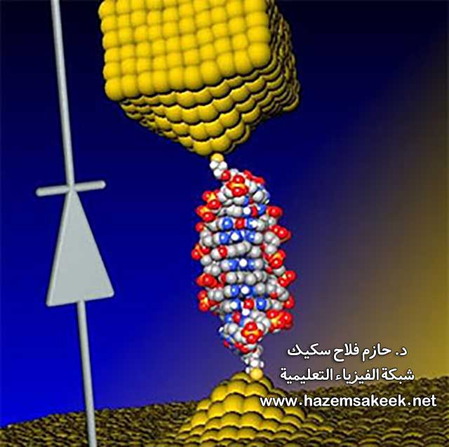 اصغر دايود في العالم صنع من DNA