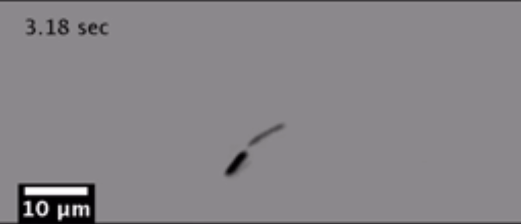 Screen Shot 2015-06-26 at 2.38.19 AM