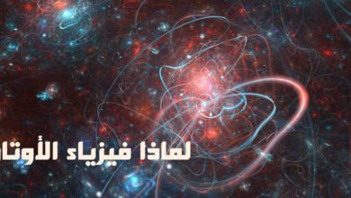 لماذا فيزياء الأوتار؟