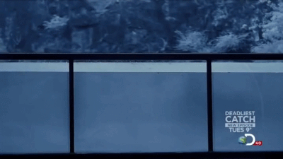 Underwater Protect You From Bullets