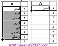 الدرس رقم 4: مهارات التعبئة التلقائية