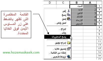 واعمدة ورقة وخلايا العمل من تتكون صفوف تتكون ورقة