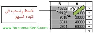 الدرس رقم 5: مهارات تحرير وتنسيق ورقة العمل