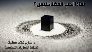 لماذا نحب المغناطيس؟