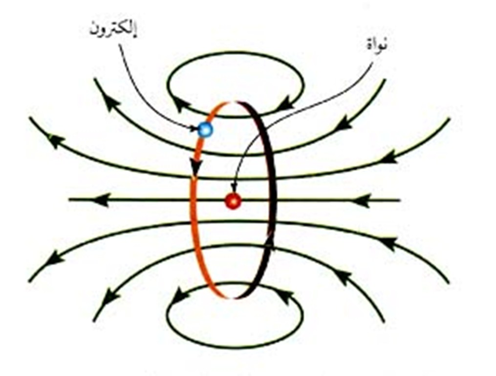 سلسلة الفيزياء والحياة: فلنوحد العزوم