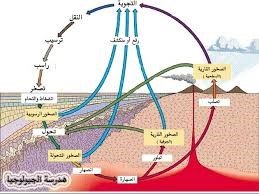 الماء ومعجزة البقاء