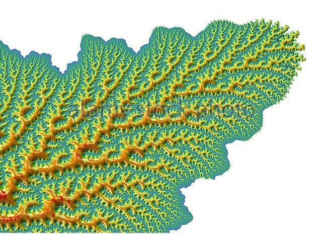 أنظمة طبيعية ديناميكية وهندسية الشكل أبدية ذاتية التشابه - FRACTAL