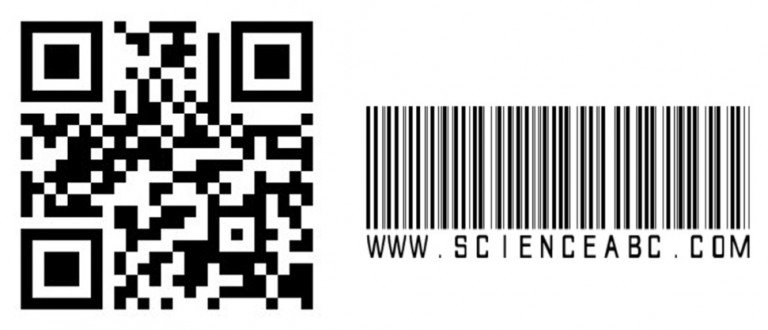 ما الفرق بين كود الاستجابة السريع QR والباركود؟